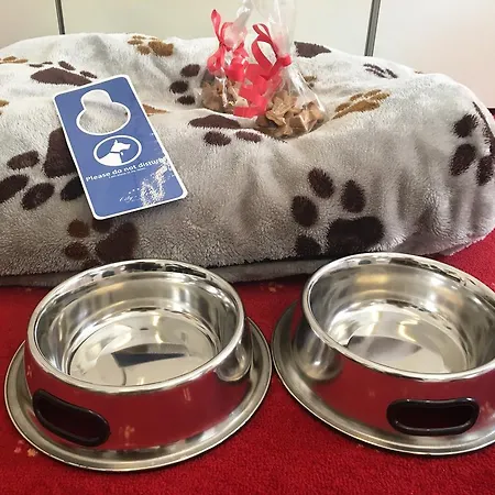 City-hotel Am Wasserturm Halle 4* Halle (Saale)