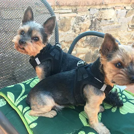 City-hotel Am Wasserturm Halle Hotel