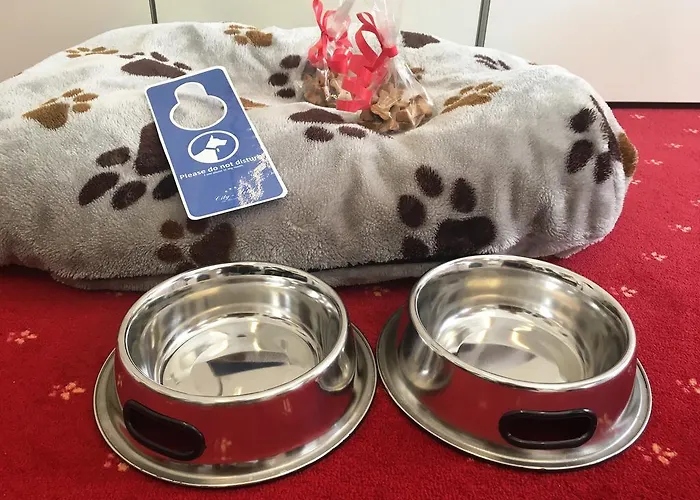 City-hotel Am Wasserturm Halle 4* Halle (Saale)