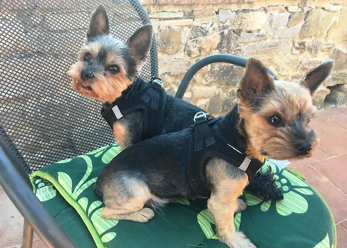 City-hotel Am Wasserturm Halle Hotel